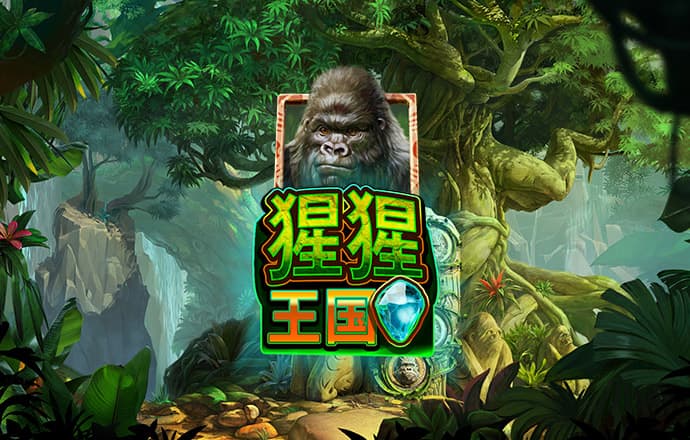 55sj世纪首页登录